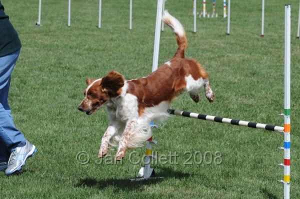 DOG_9993.JPG
