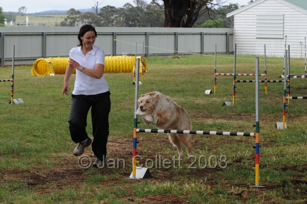 DOG_1304.jpg