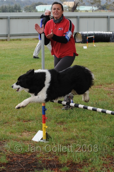 DOG_1319.jpg