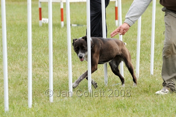 DOG_1412.jpg