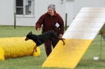 DOG_1444