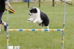 DOG_1594