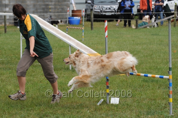 DOG_4812.jpg