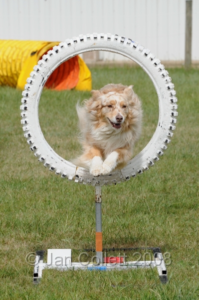 DOG_4826.jpg