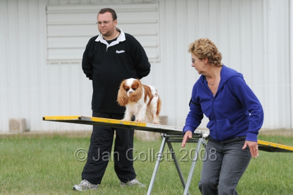 DOG_4842.jpg