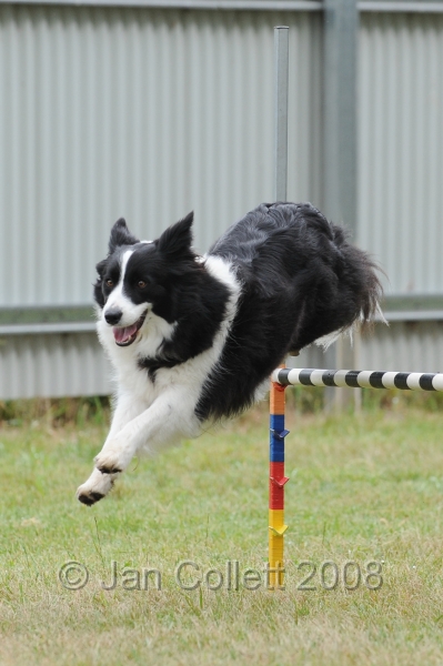DOG_4862.jpg