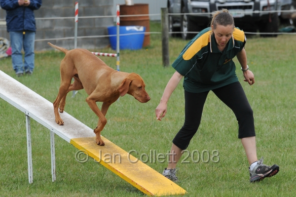 DOG_4927.jpg