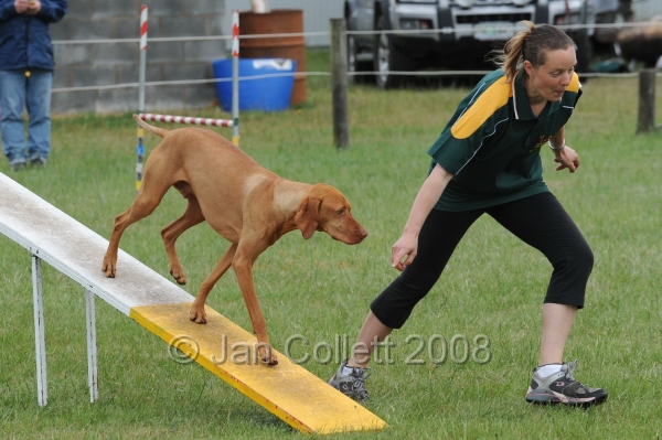 DOG_4928.jpg