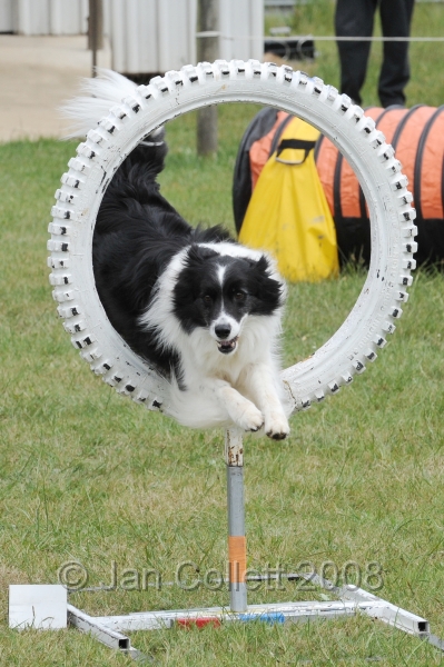 DOG_4945.jpg
