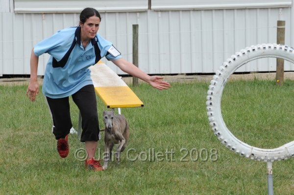 DOG_4963.jpg