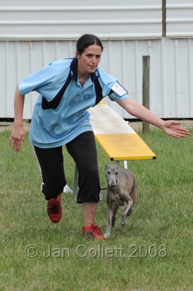 DOG_4963v.jpg