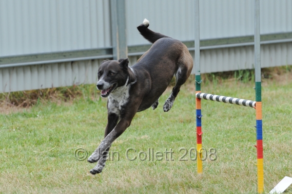 DOG_4974.jpg