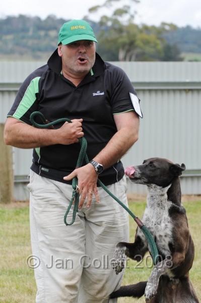 DOG_4981.jpg