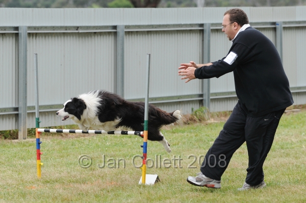 DOG_4983.jpg