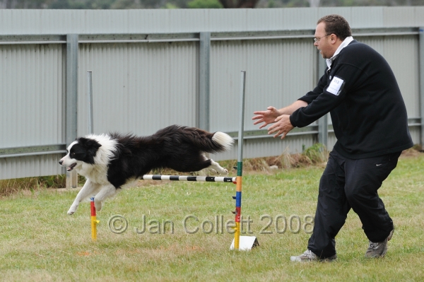DOG_4984.jpg