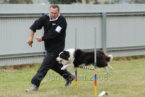 DOG_4988.jpg