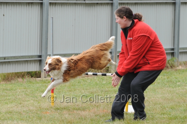 DOG_4998.jpg