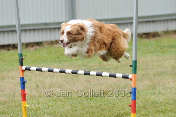 DOG_5005.jpg
