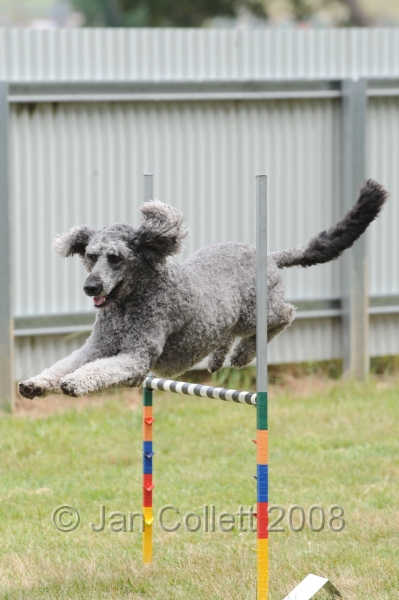 DOG_5014.jpg
