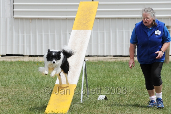 DOG_5028.jpg