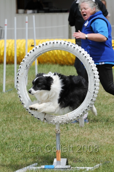 DOG_5032.jpg