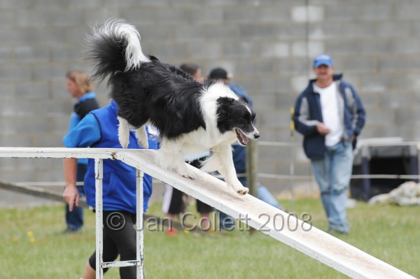 DOG_5037.jpg
