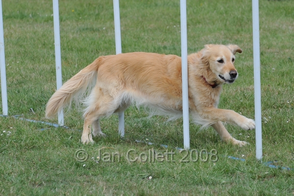 DOG_5043.jpg