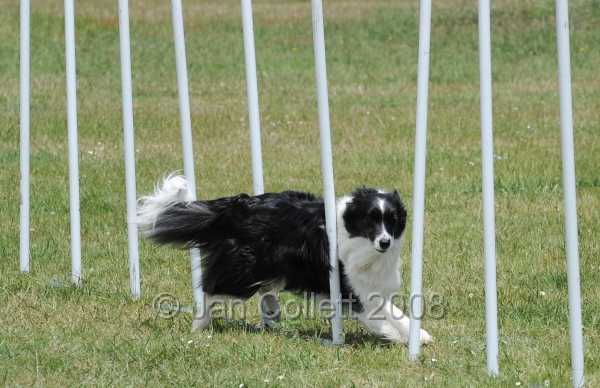 DOG_5048.jpg
