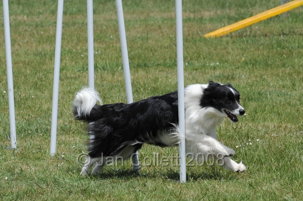DOG_5053.jpg