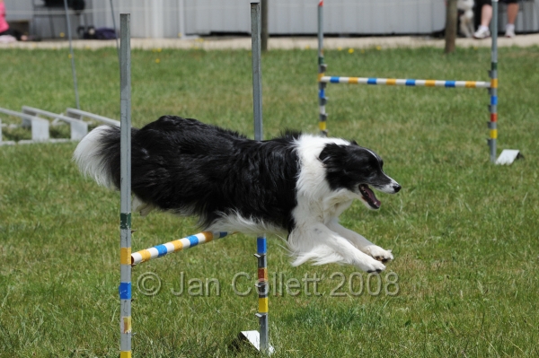 DOG_5056.jpg