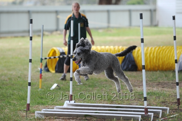DOG_5083.jpg