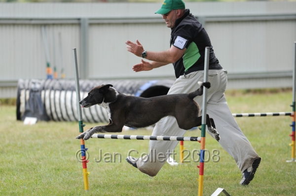 DOG_5105.jpg