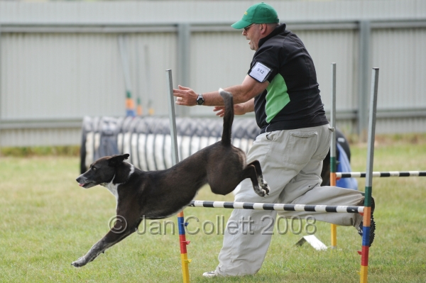 DOG_5106.jpg