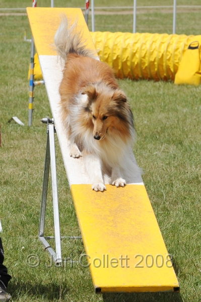 DOG_5130.jpg
