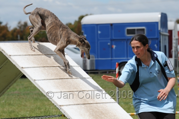 DOG_5140.jpg