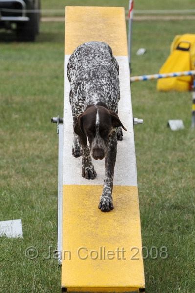 DOG_5157.jpg