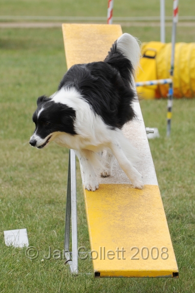 DOG_5173.jpg