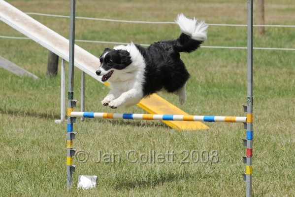 DOG_5177.jpg