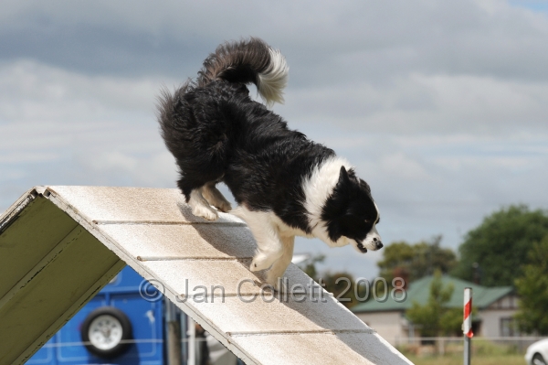 DOG_5183.jpg