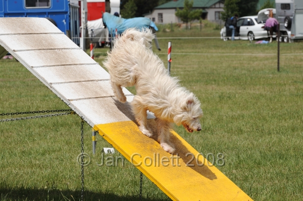 DOG_5193.jpg
