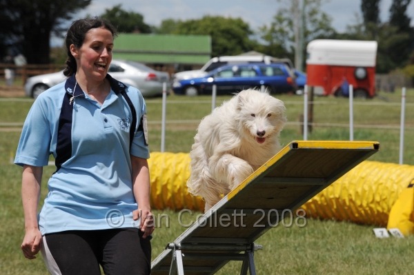 DOG_5197.jpg