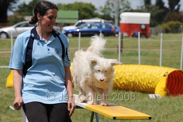 DOG_5200.jpg