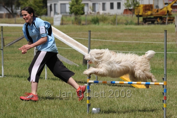 DOG_5205.jpg