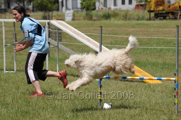 DOG_5206.jpg