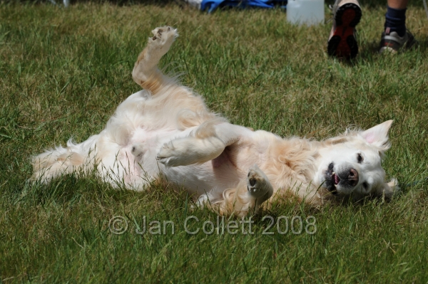 DOG_5221.jpg