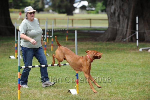 DOG_5253.jpg