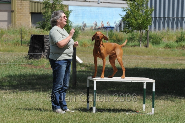 DOG_5406.jpg