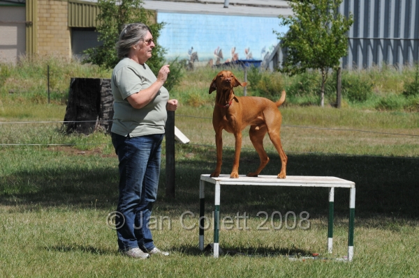DOG_5407.jpg