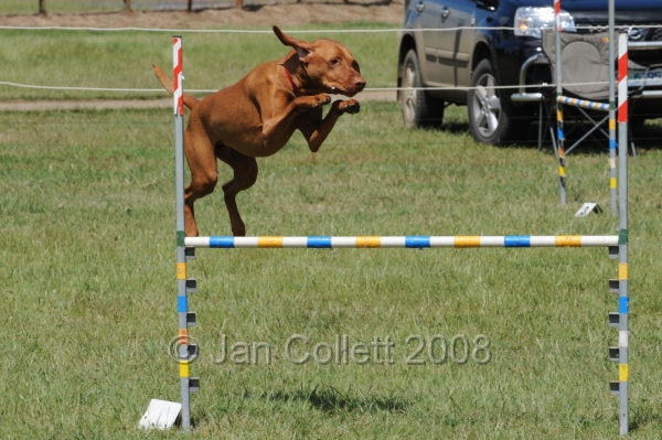DOG_5413.jpg
