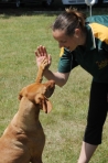DOG_5397
